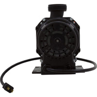 Pump, Bath, BWG Gemini Plus II, 0.75hp, 115v, 1-1/2", w/AS, OEM