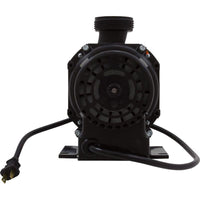 Pump, Bath, BWG Gemini Plus II VS, 1.5hp, 115v, 1-1/2", OEM