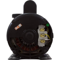 Pump, BWG Vico Ultimax, 2.0hp, 230v, 2-Spd, 56fr, 2", Side Disch 1016012