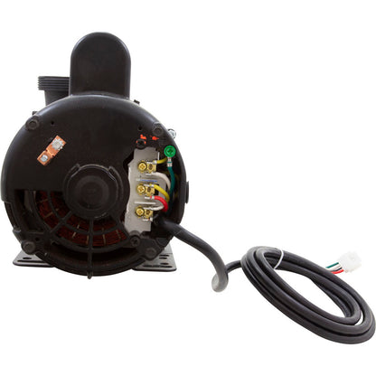 1016205 Bomba, BWG Vico Ultimax, 3,0 hp, 230 v, 2 velocidades, 56 fr, 2", disco lateral