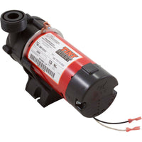 Pump, Circ, WW Tiny Might, 1/16hp, 230v, 1/2"s x s/1"Union, OEM