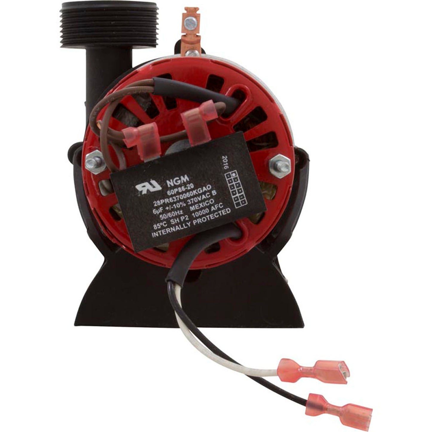 Bomba, circular, WW Tiny Might, 1/16 hp, 230 v, 1/2" sxs/1" unión, OEM