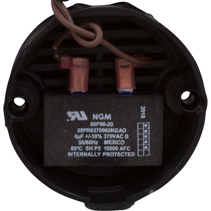 Bomba, circular, WW Tiny Might, 1/16 HP, 230 V, 50/60 Hz, espiga de 1"