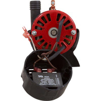 Pump, Circ, WW Tiny Might, 1/16Hp, 230v, 50/60Hz, 1" Barb