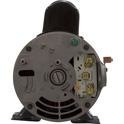 Pompe, WW série E, 1,5 ch Nidec, 115 V, 2 vitesses, 48 ​​fr, 1-1/2", kit