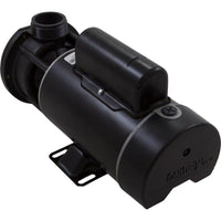 Pump, WW E-Series, 1.5hp Century, 115v, 2-Spd, 48fr, 1-1/2"