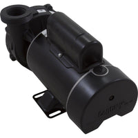 Pump, WW Hi-Flo, 1.0hp Century, 115v, 2-Spd, 48fr, 2"