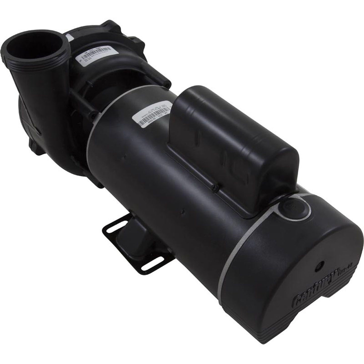 Pump, WW Exec, 4.5hp Century, 230v, 2-Speed, 48fr, 2"