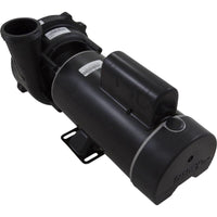 Pump, WW Exec, 4.5hp Century, 230v, 2-Speed, 48fr, 2"