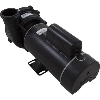 Pump, WW Exec, 4.5hp Century, 230v, 2-Speed, 48fr, 2"