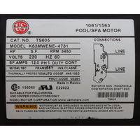 Pump, WW Exec, 4.0hp US Motor, 230v, 1-Speed, 56fr, 2"