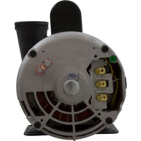 Pump, WW Exec, 3.0hp Century, 230v, 2-Spd, 56fr, 2"
