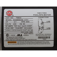 Pump, WW Exec, 4.0hp US Motor, 230v, 1-Speed, 56fr, 2-1/2" x 2"