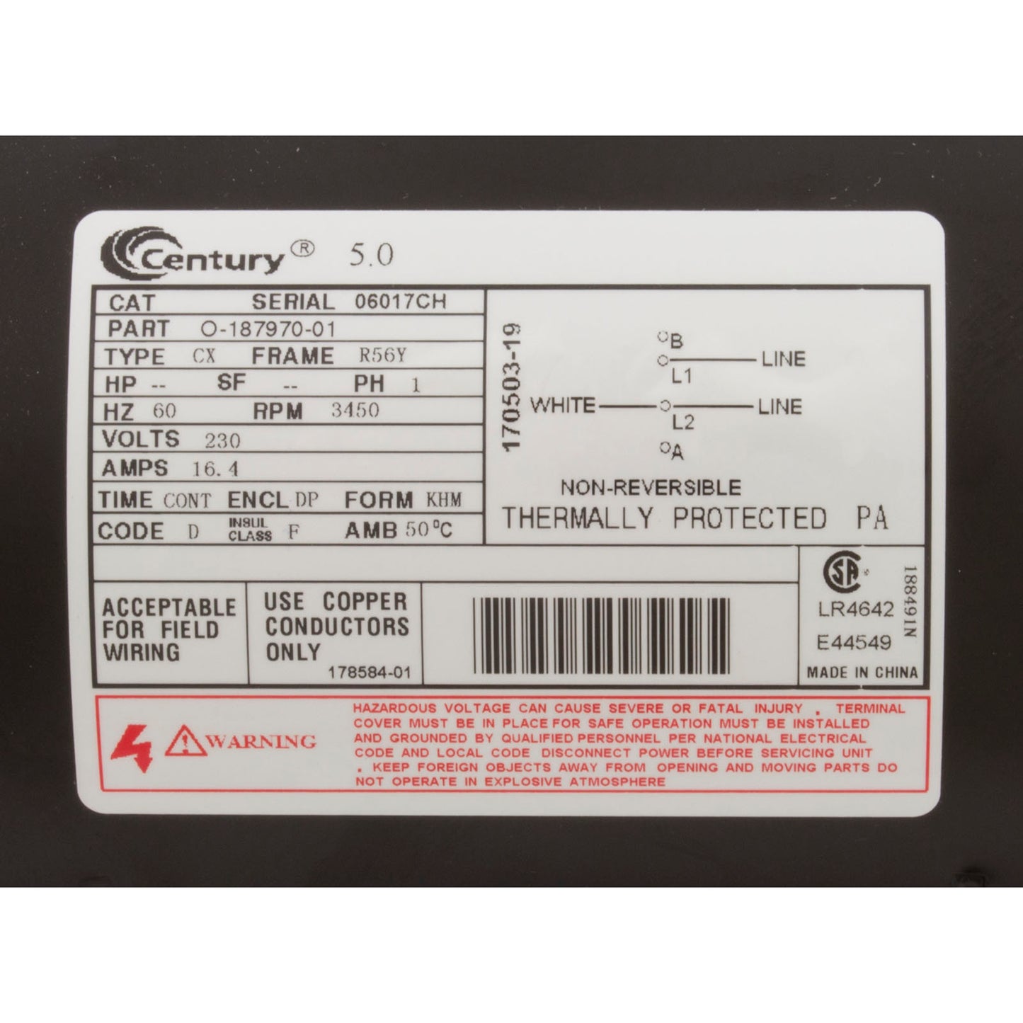 Bomba, WW Exec, Century, 5,0 hp, 230 V, 1 velocidad, 56 fr, 2-1/2" x 2"