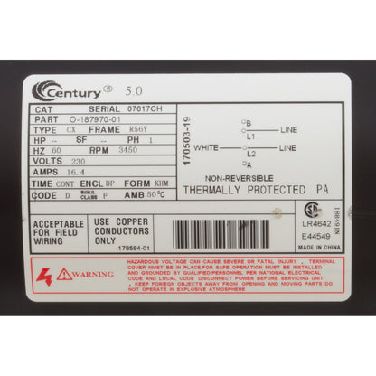 Bomba, WW Viper, Century, 5,0 hp, 230 V, 1 velocidad, 56 fr, 2-1/2" x 2-1/2"