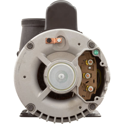 Pump, WW Viper, 3.0hp, 230v, 2-Speed, 56fr, 2-1/2" x 2-1/2", OEM