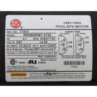 Pump, WW Viper, 3.0hp US Motor, 230v, 2-Spd, 56fr, 2-1/2"x2-1/2"