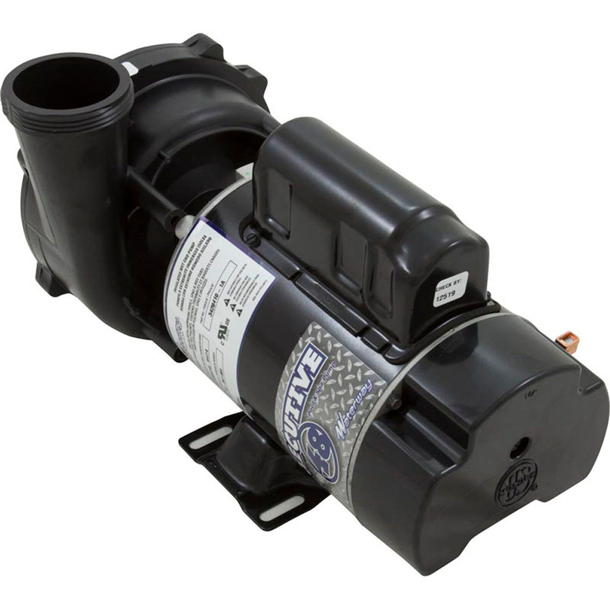 Pump, WW Exec, 1.0SPL, 115v, 2-Spd, 48fr, 2", OEM