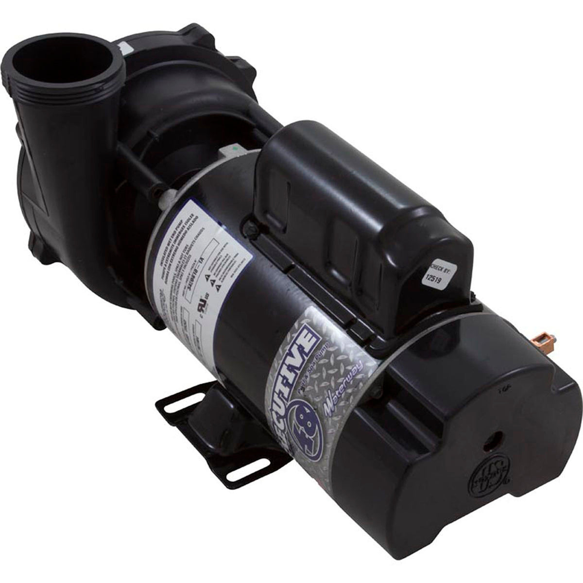 Pump, WW Exec, 1.5SPL, 115v, 2-Spd, 48fr, 2", OEM