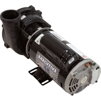 Pump, WW Exec, 2.0hp, 230v, 2-Speed, 48fr, 2", OEM