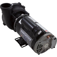 Pump, WW Exec, 3.0SPL, 230v, 2-Spd, 48fr, 2", OEM