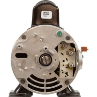 Pump, WW E-Series, 1.0SPL, 115v, 1-Spd, 48fr, 1-1/2", OEM