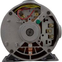 Pump, WW E-Series, 0.75hp, 115v, 2-Speed, 48fr, 1-1/2", OEM