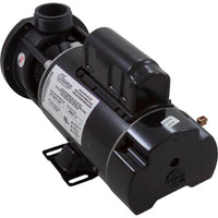 Pump, WW E-Series, 1.5SPL, 115v, 2-Spd, 48fr, 1-1/2", OEM