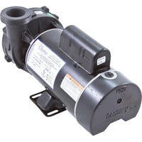 Pump, WW Hi-Flo, 3.0hp, 230v, 2-Speed, 48fr, 2", OEM