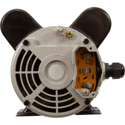 Pompe, LX 48WUA, 1,0 CV, 115 V, 2 vitesses, 48 ​​avant, 2"