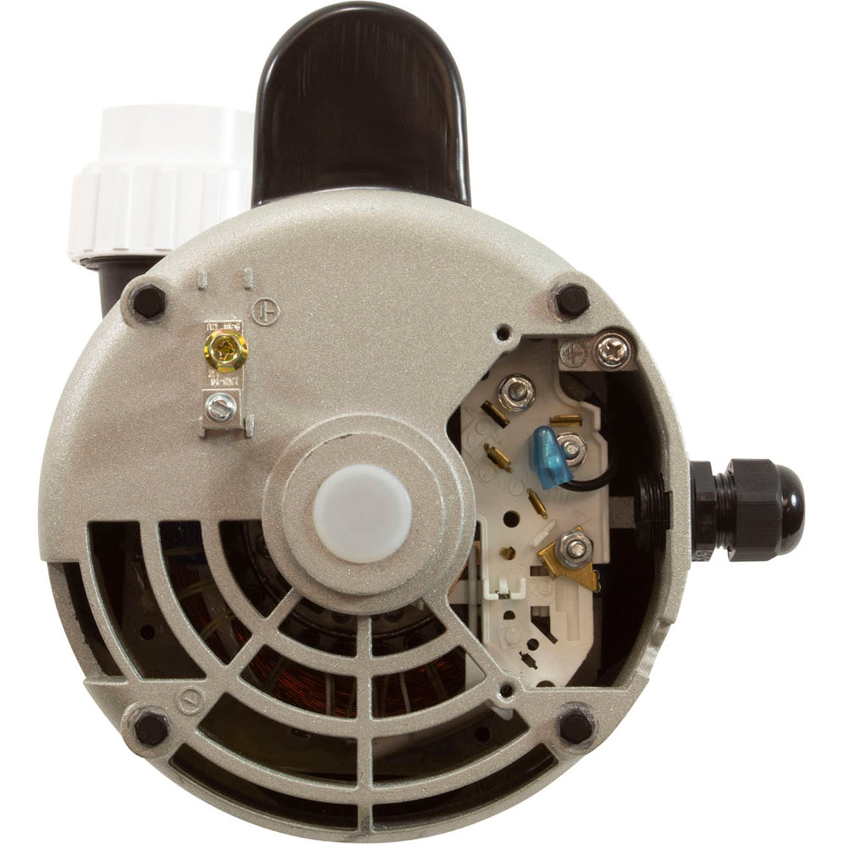 Pump, LX 56WUA, 4.0hp, 230v, 2-Spd, 56Fr, 2", SD, Bracketless