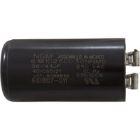 Pump, Aqua Flo TMCP, 1.5hp Century, 230v, 2-Spd, 48fr, 1-1/2"