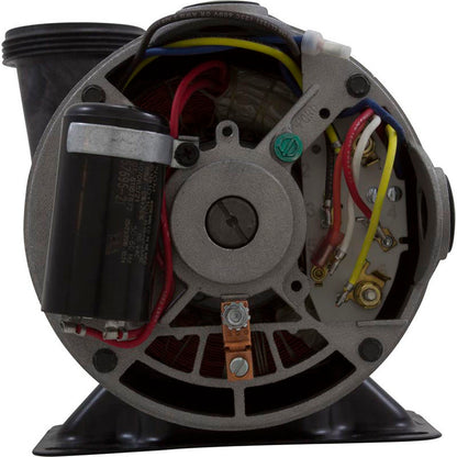 Pump, Aqua Flo XP2, 1.5hp Century, Conv, 1-Speed, 48fr, 2", Kit