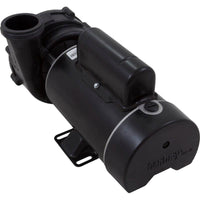 Pump, Aqua Flo XP2e, 1.5hp Century, 230v, 2-Speed, 48fr, 2"