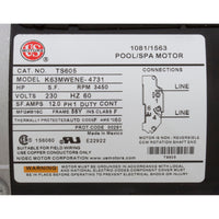 Pump, Aqua Flo XP2e, 4.0hp US Motor, 230v, 1-Speed, 56fr, 2"
