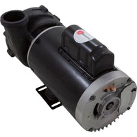Pump, Aqua Flo XP2e, 2.5hp Nidec, 230v, 2-Speed, 56 Frame, 2"