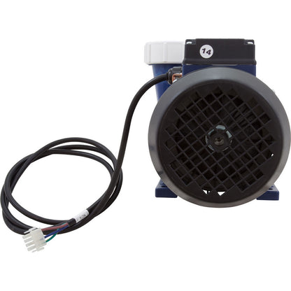 Pump, Aqua Flo XP2e, 2.0hp, 230v, 1-Spd, 50HZ, OEM