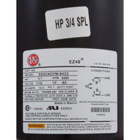 Pump, Ultima, 0.75hp US Motor, 115v, 1-Spd, 48fr, 1-1/2", Ctr Dis