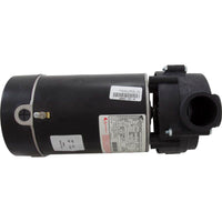 Pump, Ultima, 0.75hp Century, 115v, 1-Spd, 48fr, 1-1/2", Ctr Dis
