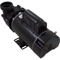 Pump, BWG Vico Ultima, 1.5hp Nidec, 115v, 2-Spd, 48fr, 2", Kit