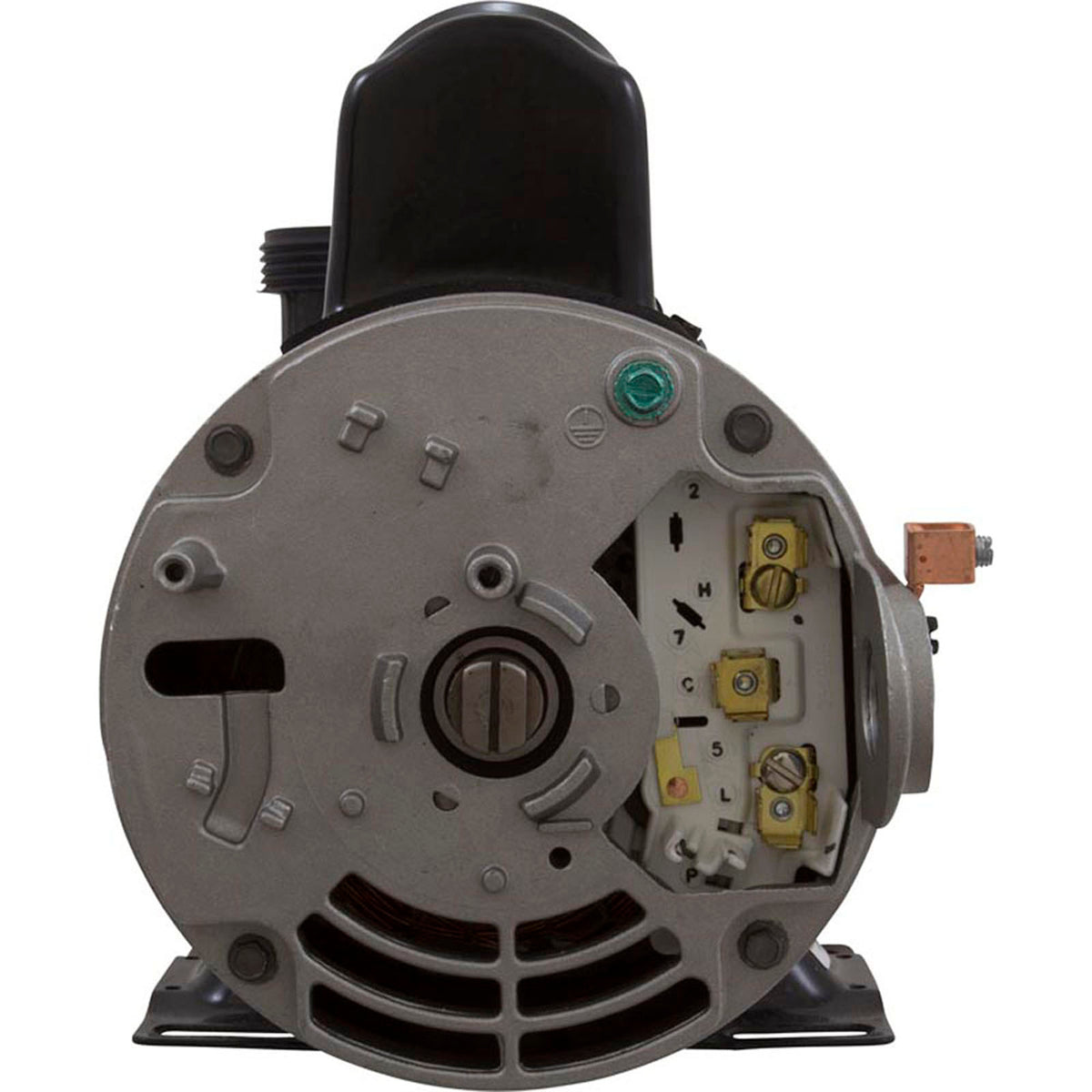 Pump, BWG Vico Ultima, 1.5hp Nidec, 115v, 2-Spd, 48fr, 2", Kit
