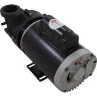 Pump, BWG Vico Ultimax, 2.0hp USMotor, 230v, 2-Spd, 56fr, 2"