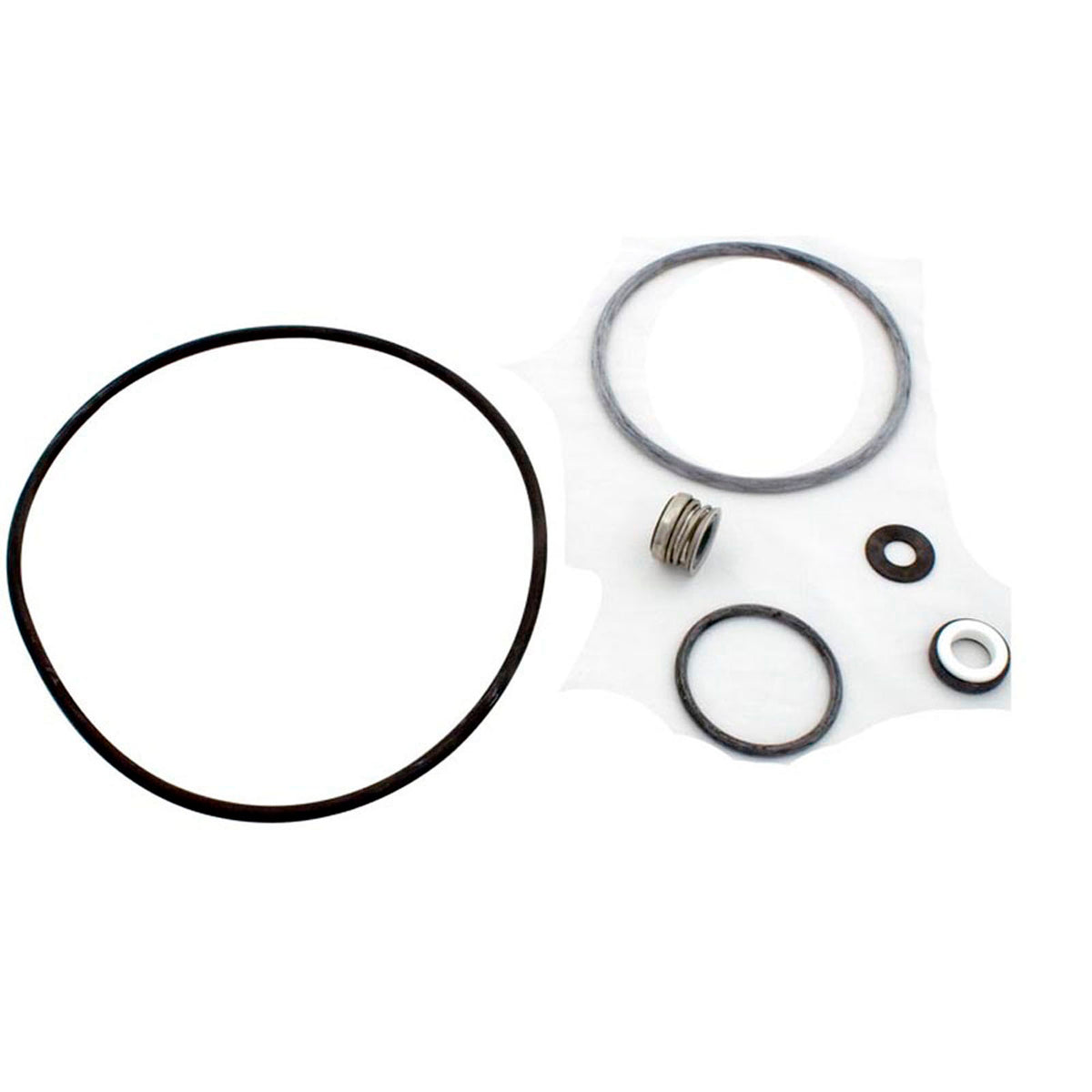 Seal Kit, Pentair Sta-Rite DuraGlas II