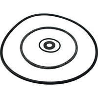 Seal Kit, Pentair Sta-Rite DuraGlas