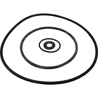 Seal Kit, Pentair Sta-Rite DuraGlas