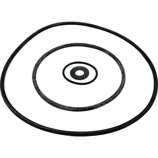 Seal Kit, Pentair Sta-Rite DuraGlas