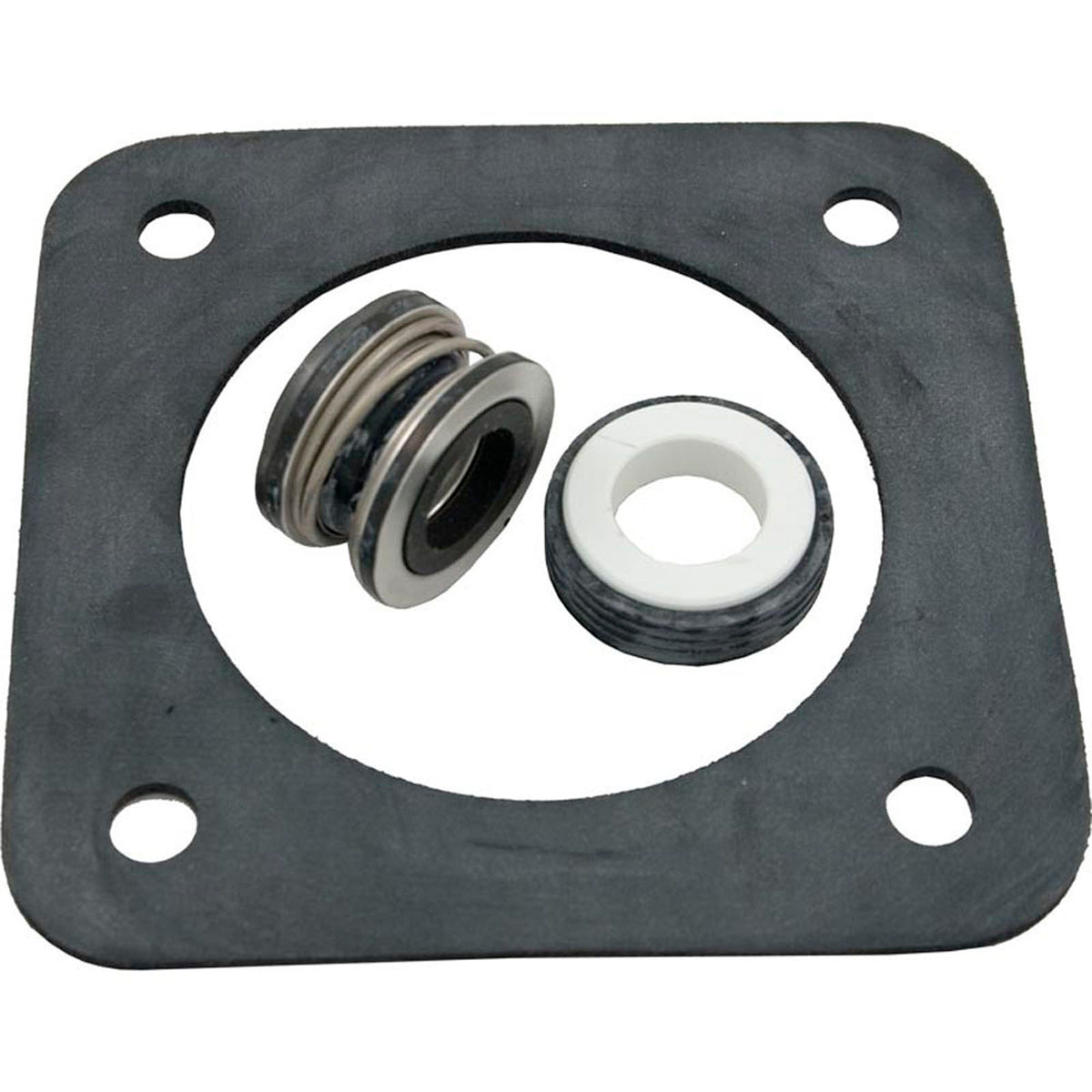 Seal Kit, Pentair Sta-Rite DuraGlas