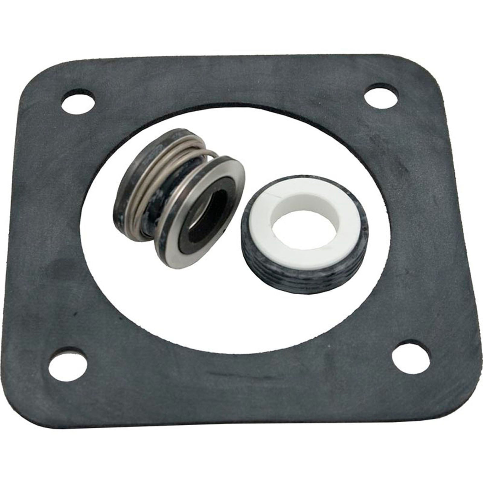 Seal Kit, Pentair Sta-Rite DuraGlas