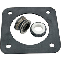 Seal Kit, Pentair Sta-Rite DuraGlas