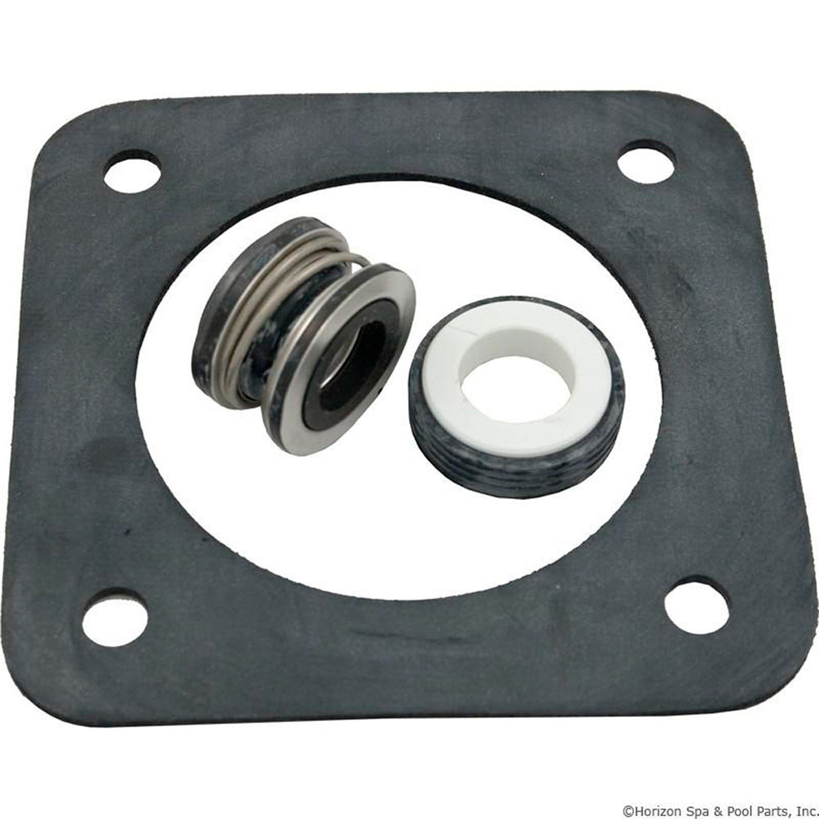 Seal Kit, Pentair Sta-Rite DuraGlas